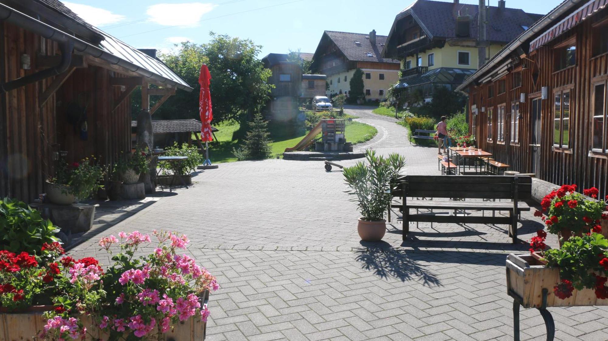 Bio Archehof Zachhiesen Daire Seekirchen am Wallersee Dış mekan fotoğraf