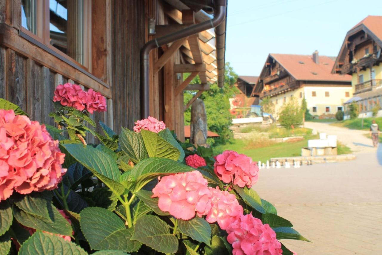 Bio Archehof Zachhiesen Daire Seekirchen am Wallersee Dış mekan fotoğraf