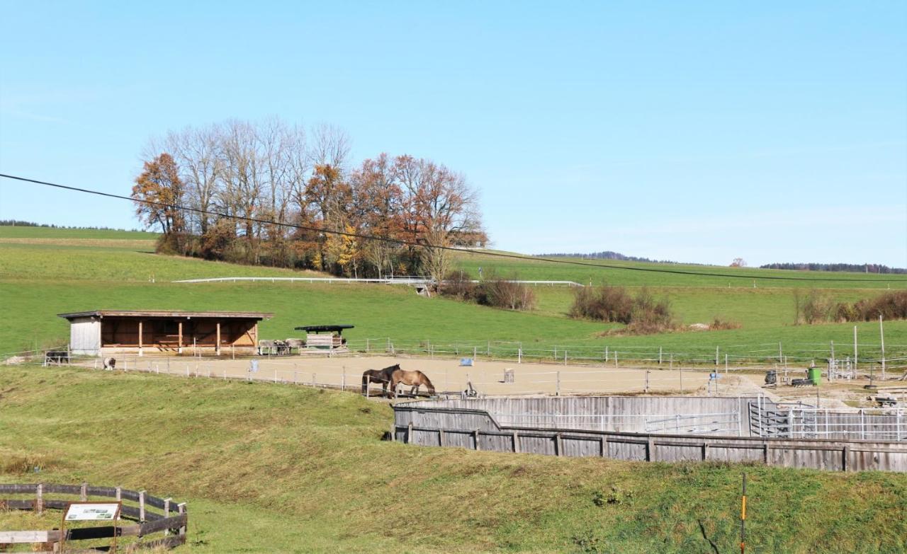Bio Archehof Zachhiesen Daire Seekirchen am Wallersee Dış mekan fotoğraf